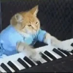 cat piano song piano played by me