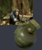 new flesh current joys