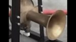 Federal 5 Horn