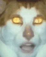 monday left me broken