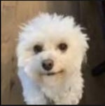 Nossa nossa assim vc me mata