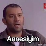 İnanılmaz Bir Acemilik