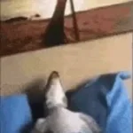Snoring