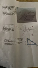 Plage Coquillage reflection