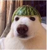 SpongeBob SquarePants Production Music The Rake Hornpipe