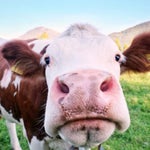 holiday road - Sound