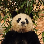 16797570635076ezbfcaf voicemaker