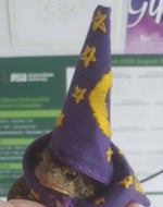 Jackie Kennedy Sheet Metal