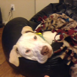 SNORE