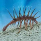 chinese guy laughing remixbass bosst