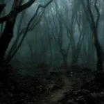 la bonne petite foret