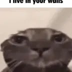 Im Inside Your Walls