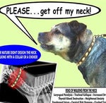 Number 12 cockroach ahh sound