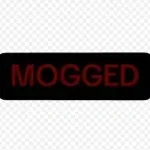 mogged