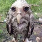 Det kan vi da godt finde ud af