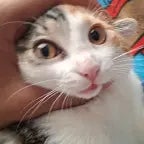 ZAIN WHAT YOU DOING BRUH