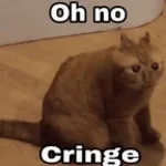 POV: those cringe videos be like: