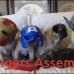 AVENGERS ASSEMBLE!