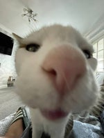 see it say it sorted