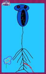 Dub s Dance Room Official Panzee Chase OST