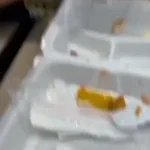 soft-tacos-catbug-made-with-Voicemod