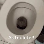 toilet wadoyoumean toilet