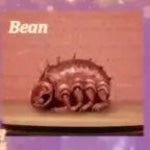 vita carnis triming sceem