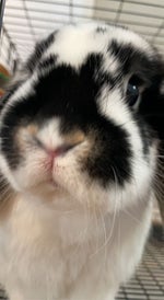 Soldier Boy Guest Appearance on Solid Gold