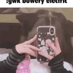 BG3 Twisted Force (Battle Music 3) (mp3cut.net)