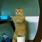 i76L0n-XIBsXUsghV6iy-A