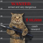 backrooms Steroaphone