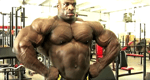 Ronnie Coleman 8X Mr.Olympia