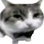 elevator (Best for a elevator fr)