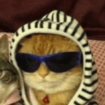 Gorilla Tag Lucy spawn sound.