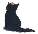 Untitled video Made with Clipchamp