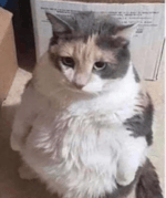 tessa violet crush official music video 128 ytshorts