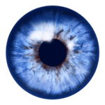 LOUD - Deadly Guns & Dual Damage BANG BANG