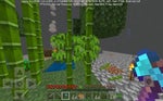 Bamboo sapling hit 5