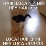 Moment moment Schatzi