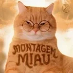Montagem Miau