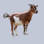 ULTRAKILL (1998) Minos Prime Intro (128 kbit s) (via Skyload)