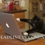 Deadline