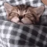 sleep guy