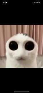 EAS scenario - lock your door and hide