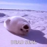 Haymaker rock forsaken