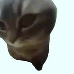 chipi chipi chapa chapa