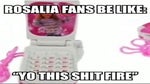 Rosalía fans be like