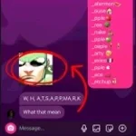 Whats App Invincible