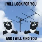 I will look for you