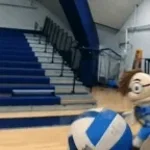 evil beach vol;eyurh